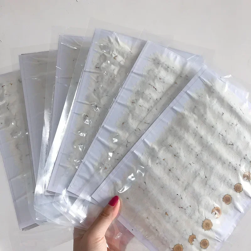 60X Pressed Dried Natural Whit - đánh giá và giá Dried Flower Bookmark