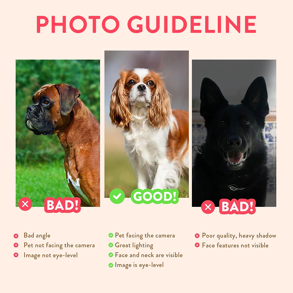 Personalized Pet Portraits Pho - đánh giá và giá Pet Portrait Custom