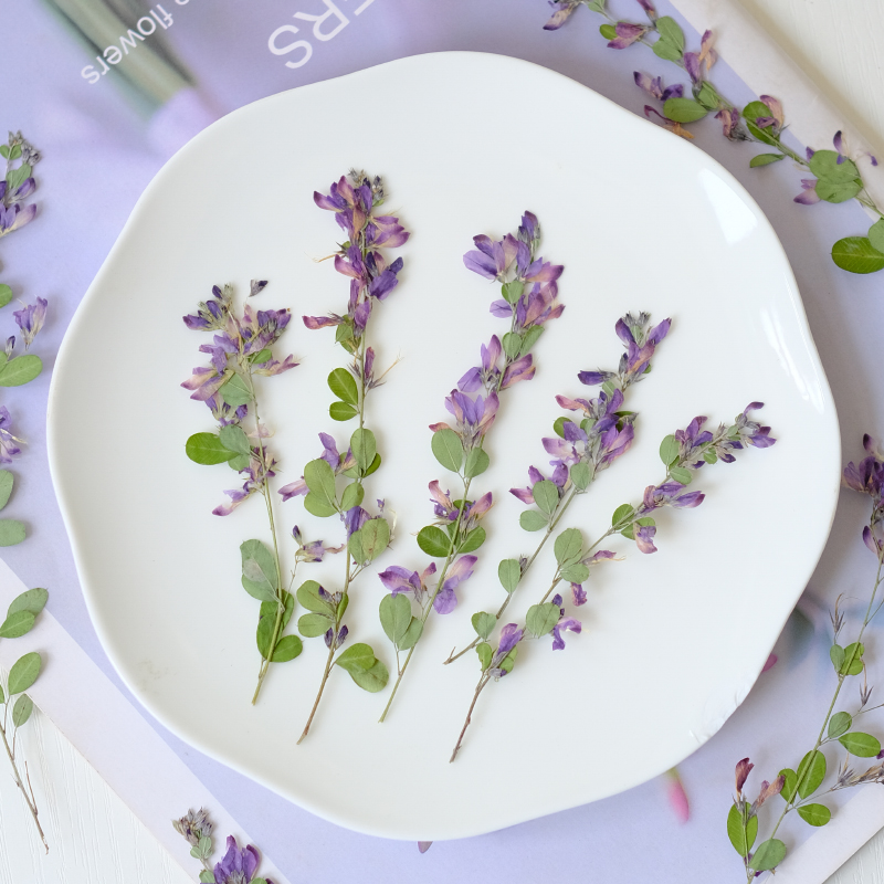 6pcs,nature Lespedeza Formosa  - đánh giá và giá Dried Flower Bookmark