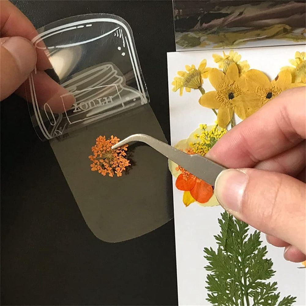30Pcs Handmade DIY Transparent - đánh giá và giá Dried Flower Bookmark