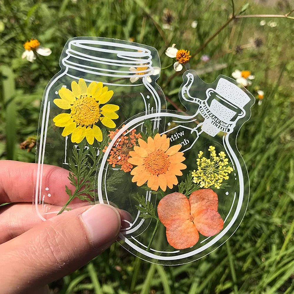 30Pcs Handmade DIY Transparent - đánh giá và giá Dried Flower Bookmark