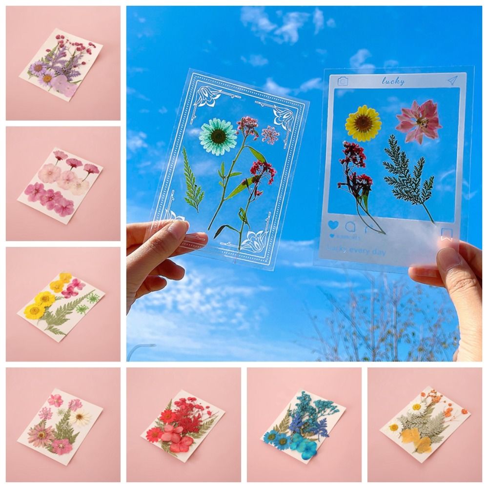DIY Materials DIY Dried Flower - đánh giá và giá Dried Flower Bookmark