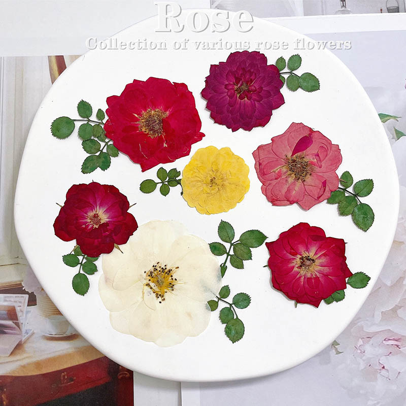 60pcs Pressed Dried Red Yellow - đánh giá và giá Dried Flower Bookmark