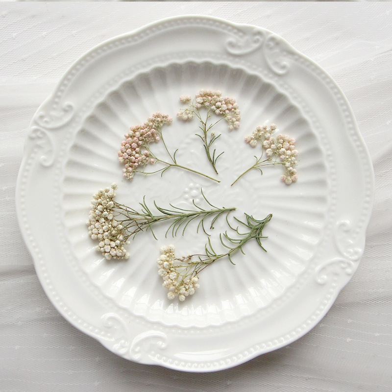 12pcs, Nature Millet Flower Br - đánh giá và giá Dried Flower Bookmark